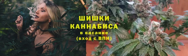 apvp Медногорск