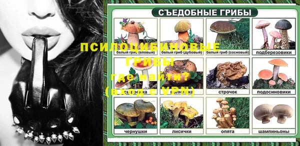 apvp Медногорск
