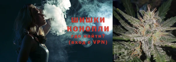 шишки Михайловка