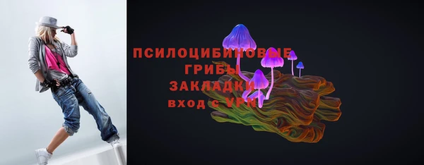 меф Медвежьегорск
