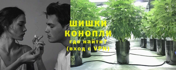 шишки Михайловка