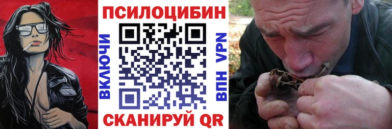 дарнет шоп  Новосибирск  Псилоцибиновые грибы мицелий 