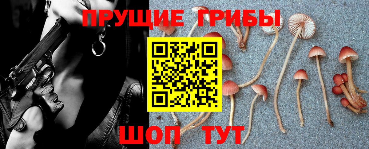 Новосибирск  Псилоцибиновые грибы ЛСД  Вход с VPN 